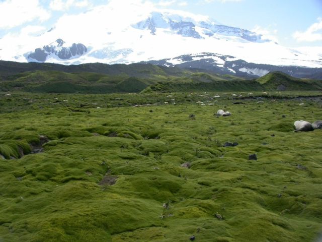 Ostrvo Herd i Mekdonaldova ostrva