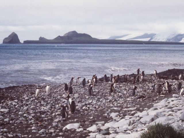 Ostrvo Herd i Mekdonaldova ostrva