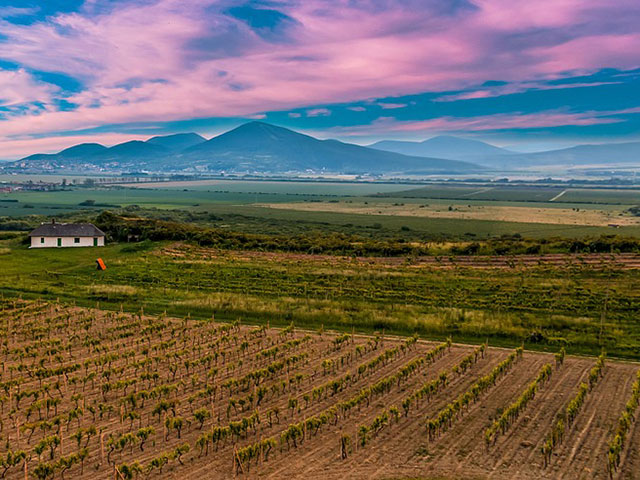 Tokajsko vinogorje, vinogradarski raj Mađarske